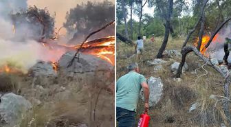 Antalya'da orman yangını müdahalesinde gönüllüler de devrede: Yangın tüpleri eşekle taşındı