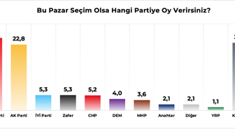 Genç Seçmen Anketi: YENİ Parti Birinci, AK Parti İkinci