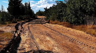 Edirne'de orman yangınlarına karşı yol seferberliği