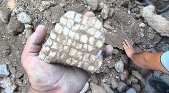 Reyhanlı'da Altyapı Kazısında Mozaik Bulundu