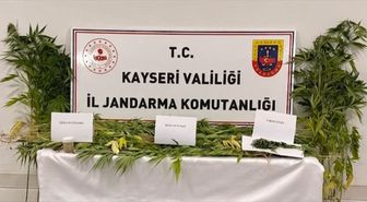 Kayseri'de Uyuşturucu Operasyonu: 2 Gözaltı