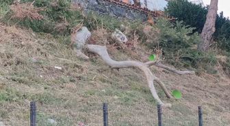 Tekirdağ'da Poyraz Hayatı Olumsuz Etkiledi