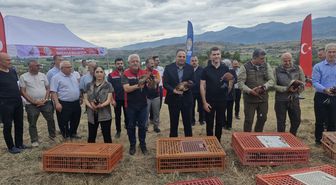 Erbaa'da 1500 Keklik ve Sülün Doğaya Salındı