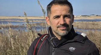 Yapay Işıklar Deniz Kaplumbağalarının Yönünü Şaşırtıyor: Uzmanlardan Sürücülere Çağrı