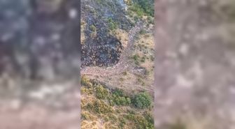 Balıkesir'de orman yangını kontrol altına alındı
