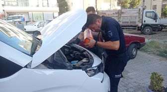 Gömeç'te Kediyi İtfaiye Kurtardı