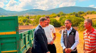 Gölpazarı'nda ayçiçeği ekimi 3 yılda 11 bin 700 dekar arttı