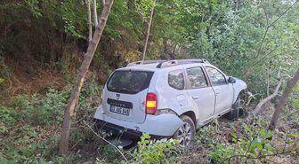 Bingöl'de Otomobil Bahçeye Uçtu: 2 Yaralı