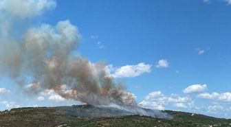 Gebze'de orman yangını 1.5 saatte söndürüldü