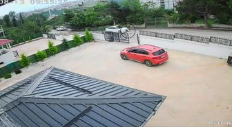 Ordu'da Köpeğe Çarpıp Kaçan Sürücü: Minik Kız Baygınlık Geçirdi