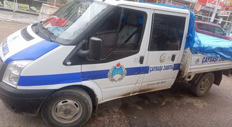 Sokak hayvanları olayında 'itibar suikastı' iddiası