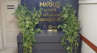 Sakarya'da Uyuşturucu Operasyonu: 1 Tutuklama