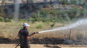 Siirt'te Anız Yangını Meyve Bahçesine Sıçradı