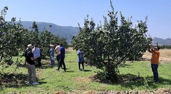 Osmaneli'nde Tarım Arazileri Hastalık ve Zararlılara Karşı Denetlendi