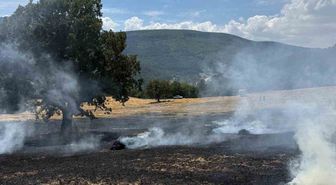 Bolu'da Balya Makinesinden Çıkan Kıvılcım Tarlayı Yaktı