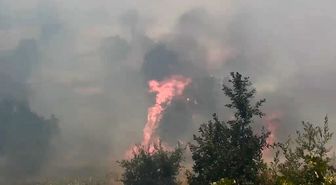 Diyarbakır Lice'de yangın: 400 dönüm alan zarar gördü