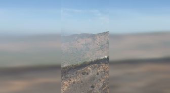Marmaris Aksaz'daki orman yangını kontrol altına alındı