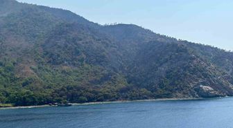 Marmaris'te orman yangını kontrol altına alındı