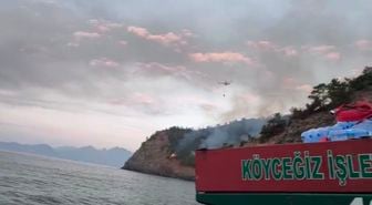 Marmaris'te Yangınla 17 Saatlik Mücadele