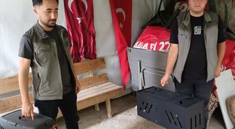 Reşadiye'de Çukura Düşen Tilki Yavrusu Kurtarıldı