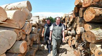 Balıkesir Orman Bölge Müdürü Musa Şen, Bandırma'da Ormancılık Çalışmalarını İnceledi