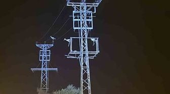 Afyonkarahisar'da Leylek Göçü Elektrik Kesintisine Neden Oldu