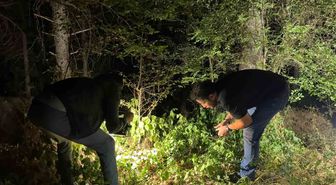 Kütahya'da Silahlı Yaralama: Bir Kişi Gözaltında