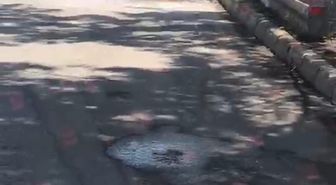 Muş'ta Motosiklet Yangını Vatandaşların Müdahalesiyle Söndürüldü