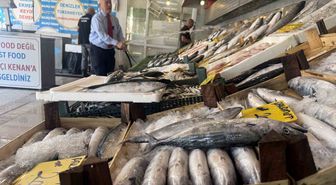 Yeni sezonda balık bolluğu: Palamut ve hamsi müjdesi