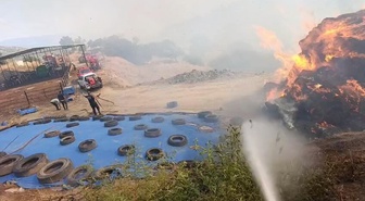 Çine'de Ot Yangını Zeytinliğe Sıçradı