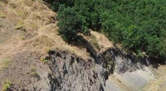 Bingöl'de Nesli Tükenme Tehlikesindeki Dağ Keçisi Dronla Görüntülendi