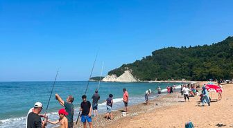 Deniz Suyu Soğuyunca İstavrit Kıyıya Yaklaştı