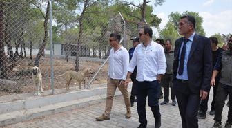 Silifke'de doğal yaşam alanı incelendi