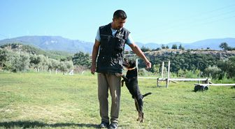 Kuşadalı Tevfik Gül: 11 Yılda Yetiştirdiği AFAD Sertifikalı 4 Köpekle Onlarca Hayat Kurtardı