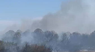 Mudanya'da Anız Yangını Ağaçlık Alana Sıçradı