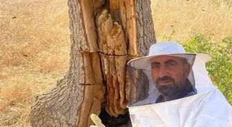 Lice'de Arıların İzinden Ağaç Kovuğundan Kilolarca Bal Çıkarıldı