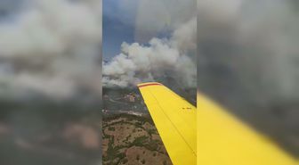 Sındırgı'da kamyon yangını ormana sıçradı