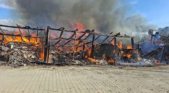 Ilgaz'da samanlık yangını: 1 hayvan telef oldu, 4 yapı kül oldu