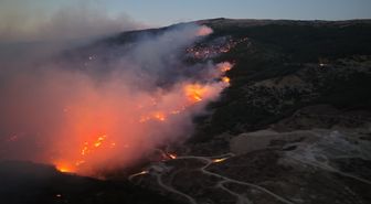 Aydın'daki Orman Yangınında Yaralanan Kişi Hayatını Kaybetti