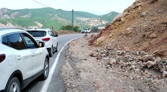 Tunceli'de Dağ Keçileri Tuz İhtiyacı İçin Yola İndi