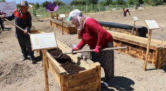 Safranbolu Safranı İçin 7 AR-GE Projesi