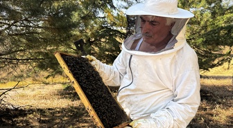 Elazığ'da geven balı hasadı başladı