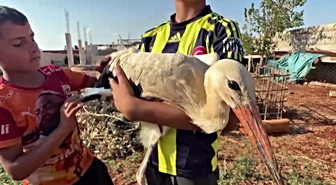 Hatay'da yorgun leyleğe 2 gün misafirperverlik