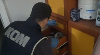 Hatay'da Çifte Suç Örgütü Operasyonu: 16 Gözaltı