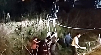 Arnavutköy'de Bataklığa Saplanan İnek İş Makineleriyle Kurtarıldı