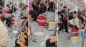 Metroda yılan paniği! Gerçek ortaya çıkınca yolcular da şaşırdı