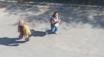 Sultangazi'de Yavru Kediler Nedeniyle Komşular Arasında Tartışma