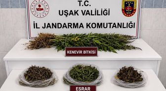 Uşak'ta Uyuşturucu ve Kaçak Tütün Operasyonu: 2 Gözaltı
