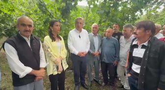 YENİ Parti Milletvekili Çan: Fındık Üreticisi 2B Arazisi ve Maliyet Baskısı Altında