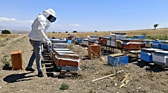 Ağın'da 15 Üreticiye Dağıtılan 150 Arılı Kovanın Yerinde Tespiti Yapıldı